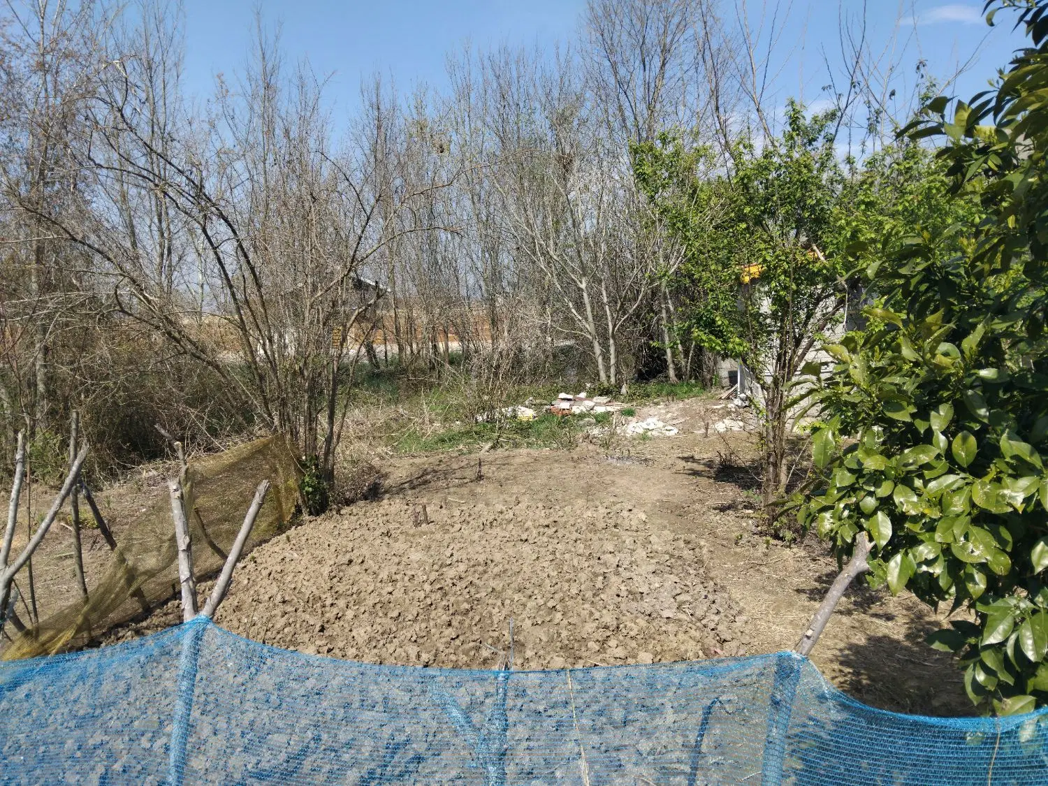 تصویر املاک 47092