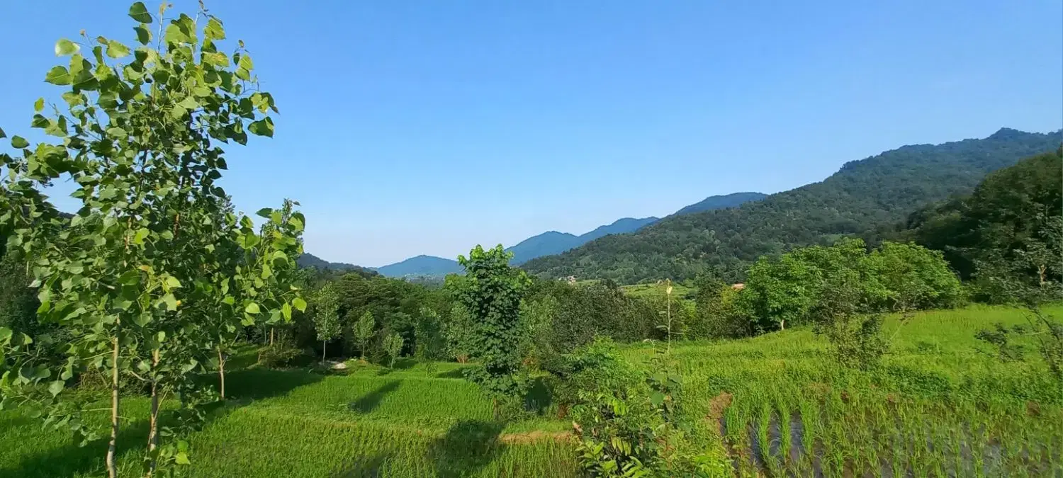 تصویر املاک 98103