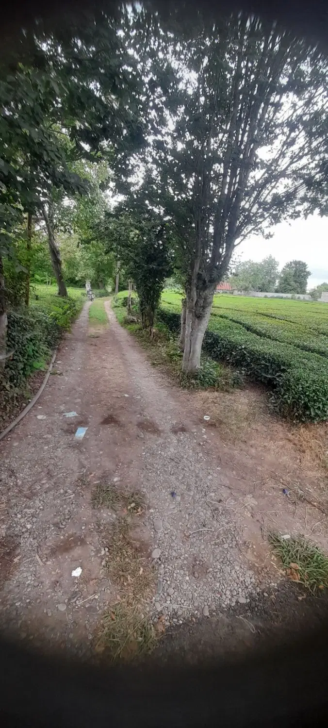 تصویر املاک 86243