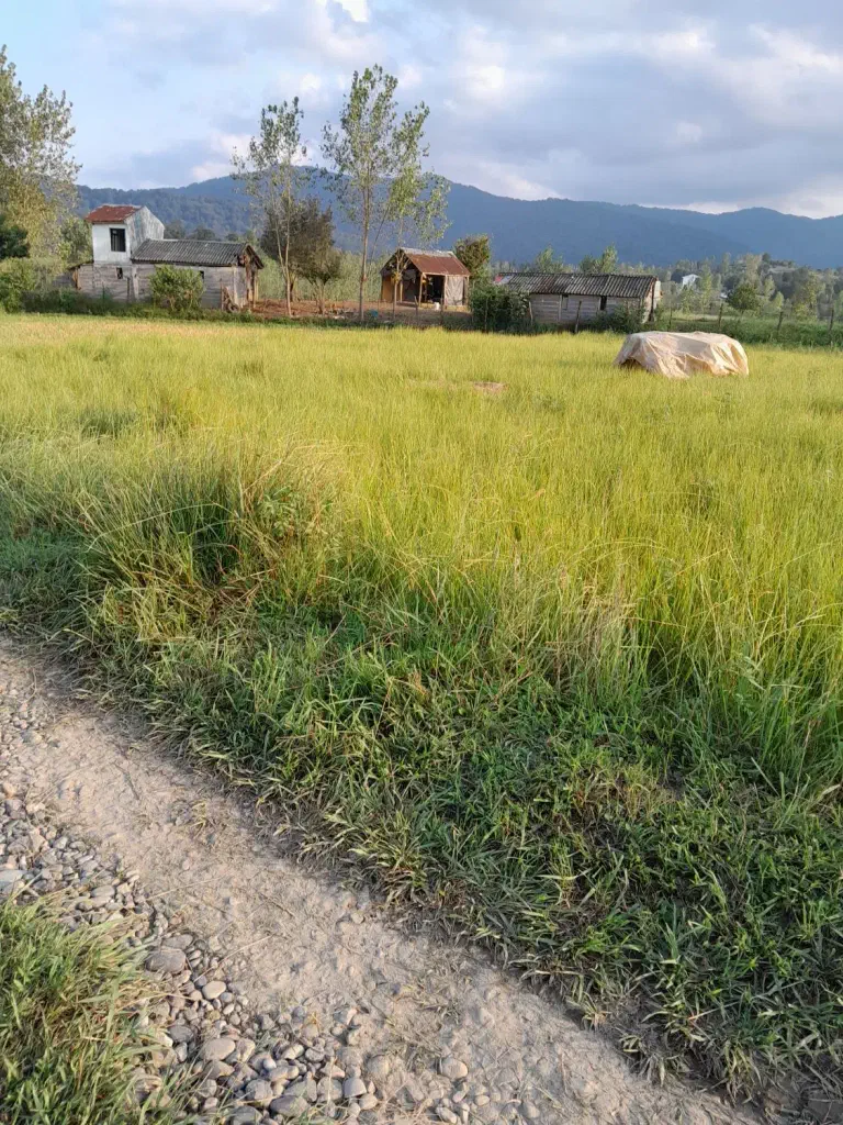 تصویر املاک 138847